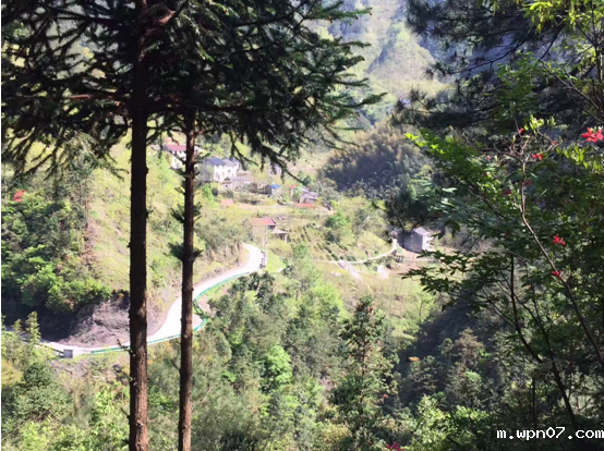 cc23ddc6dcbe705a539bc2cf5c09f12