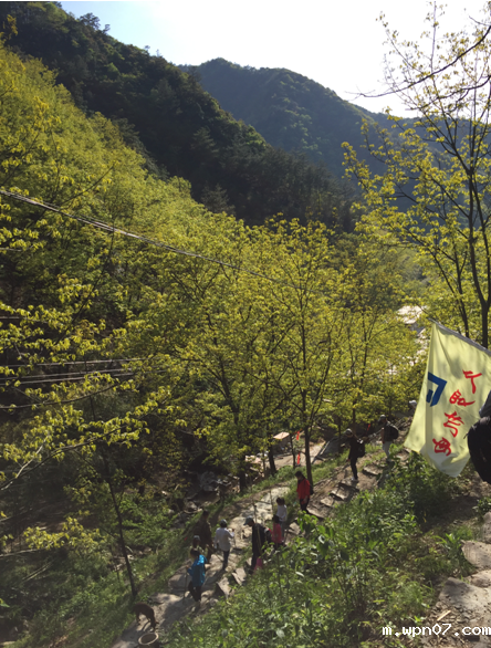 2d77495ef6fc268f66fa2684c28c9bf