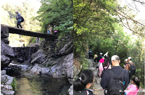 f4329d51c6e8b98d048a33f84258604